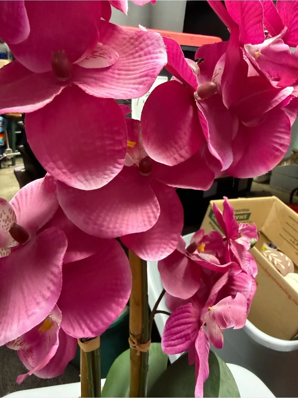 Beautiful faux orchid plant